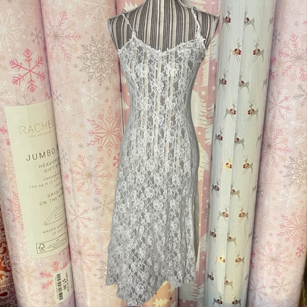 Hanky Panky sheer lace lingerie slip gown